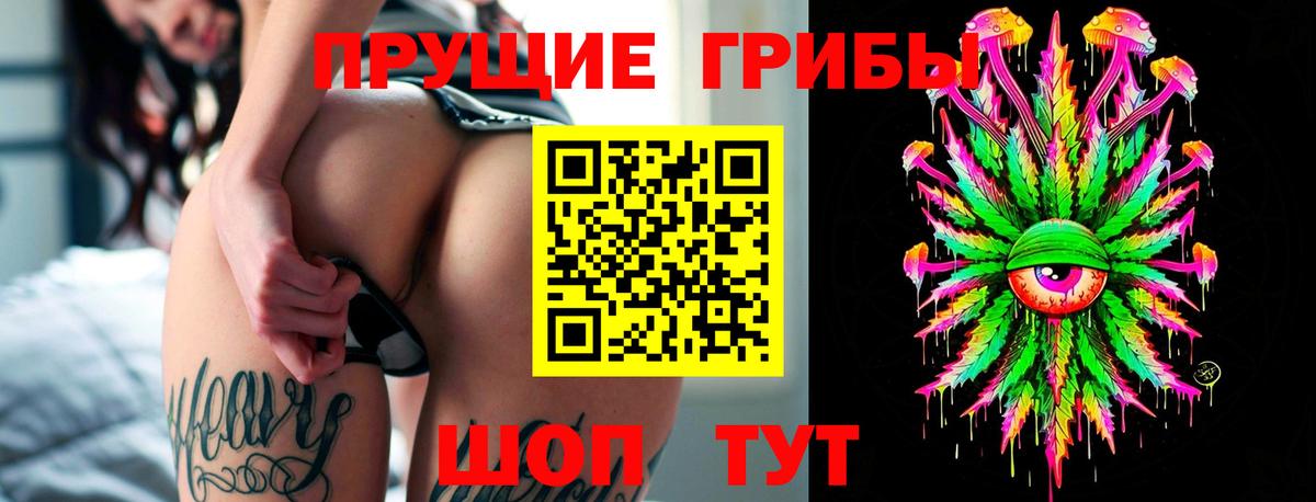Галлюциногенные грибы Magic Shrooms  Вход с VPN  купить   Губкинский 